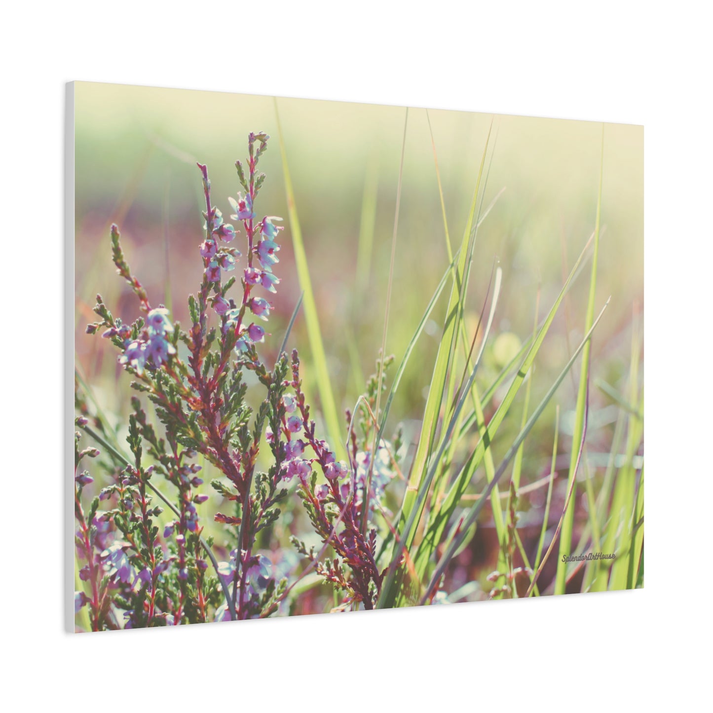 Floral, Matte Canvas, Stretched, 1.25"