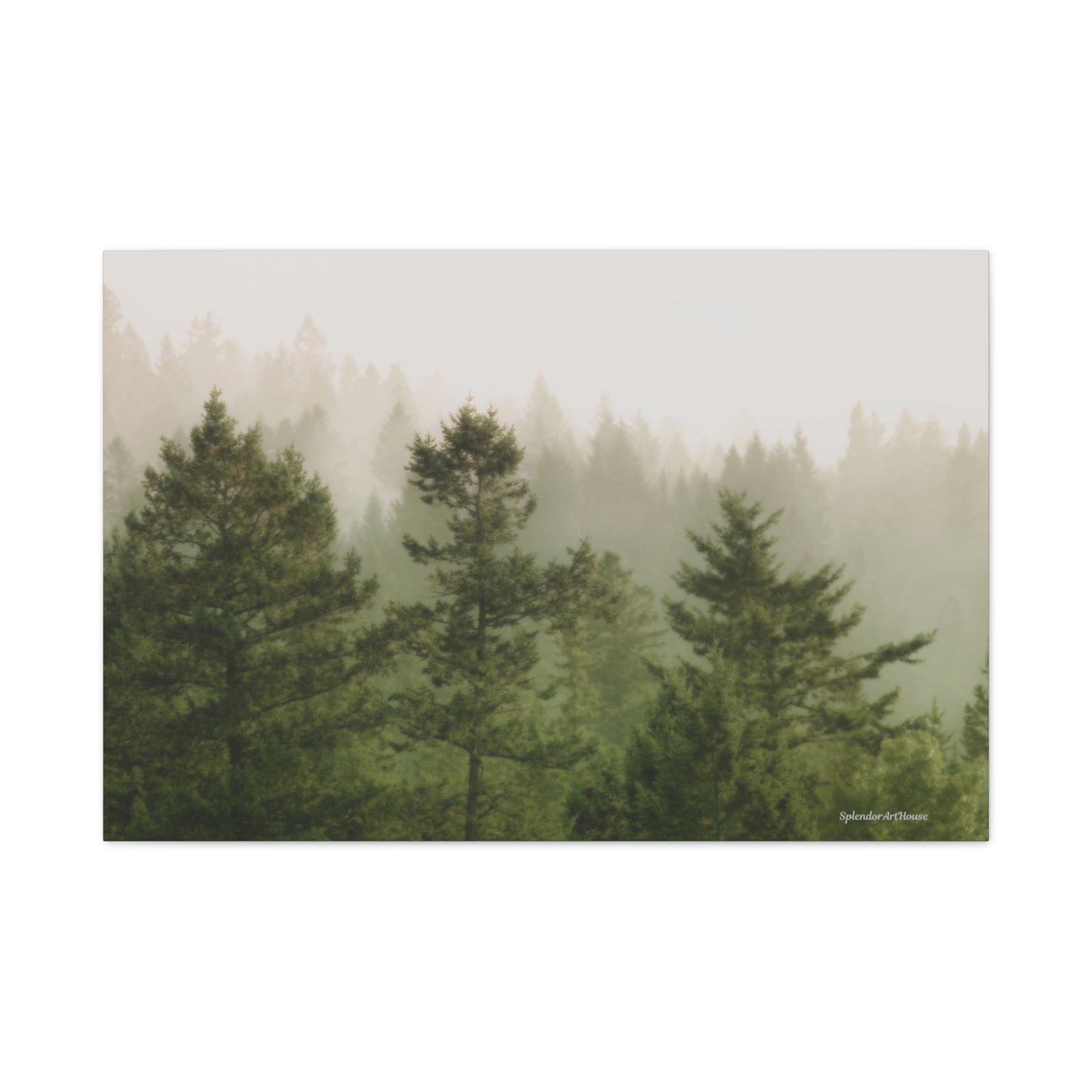 Forest, Matte Canvas, Stretched, 1.25"