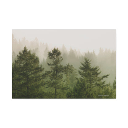 Forest, Matte Canvas, Stretched, 1.25"