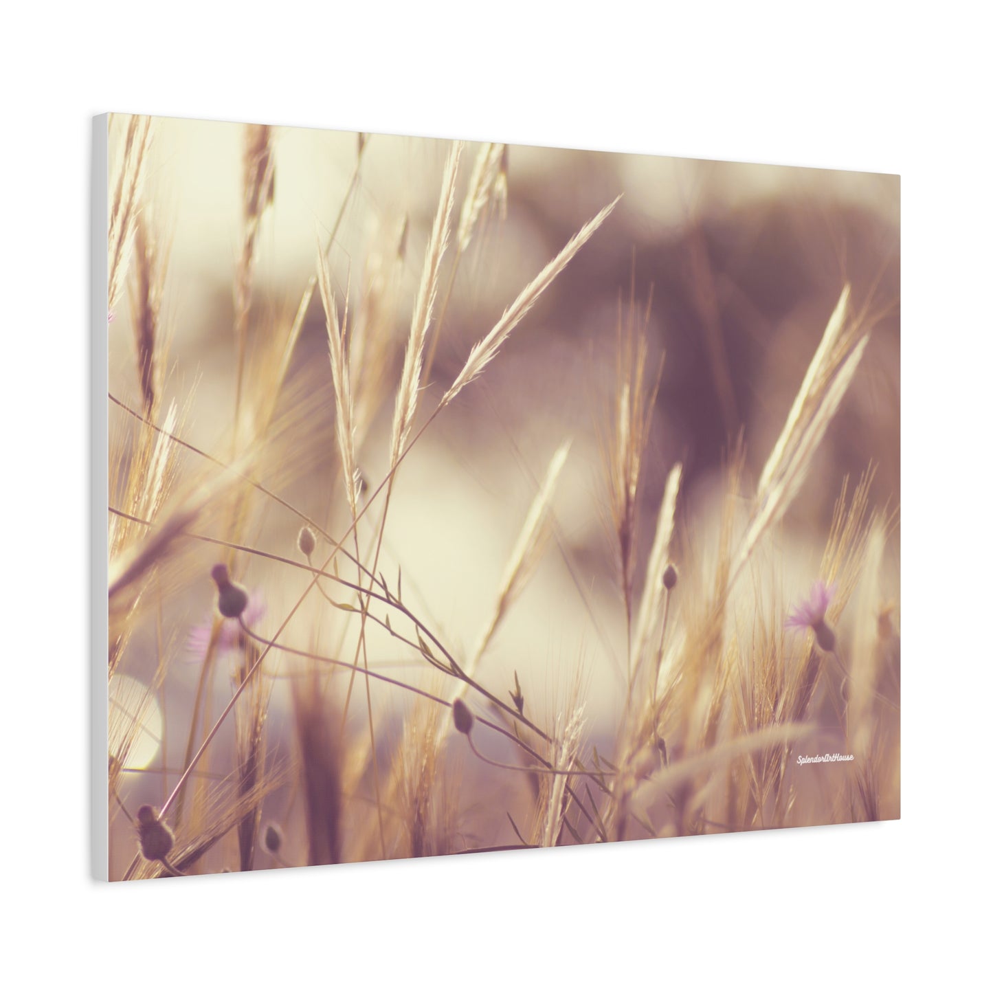 Grass, Matte Canvas, Stretched, 1.25"