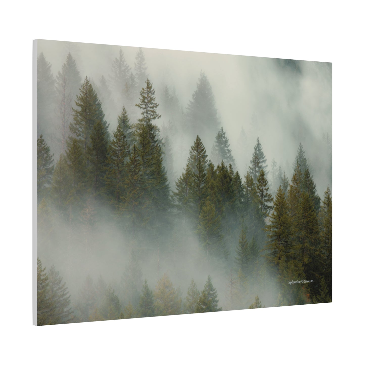 Forest, Matte Canvas, Stretched, 1.25"