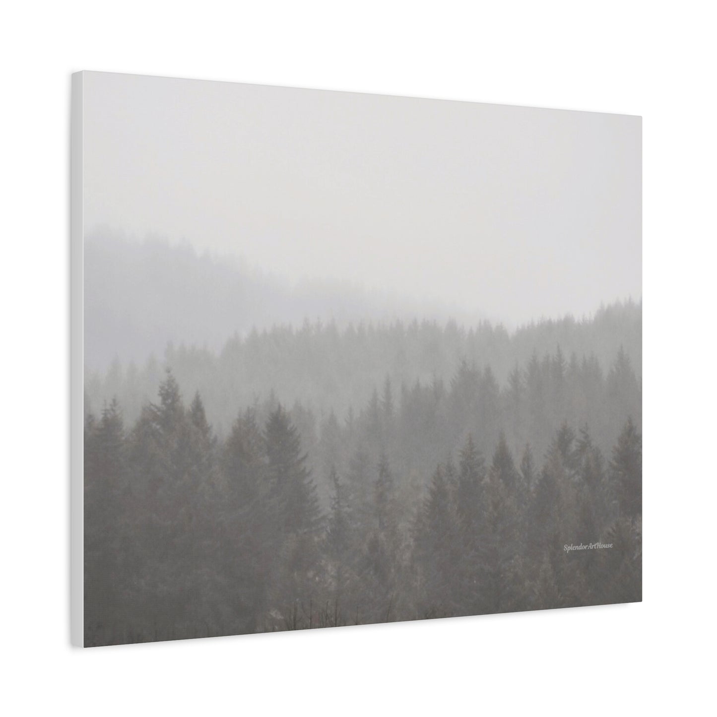 Forest, Matte Canvas, Stretched, 1.25"