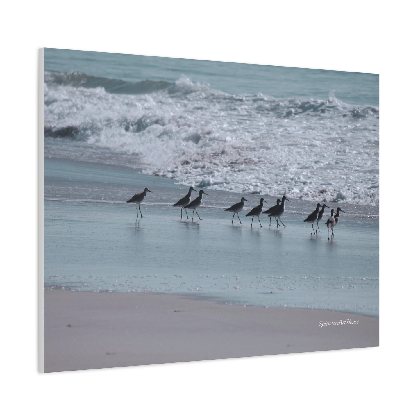 Birds, Matte Canvas, Stretched, 1.25"