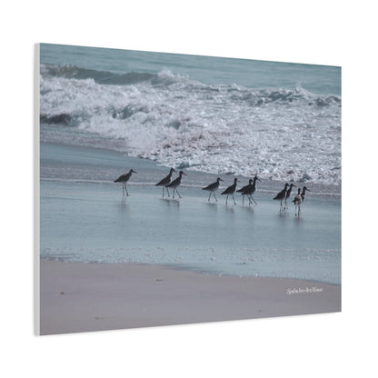 Birds, Matte Canvas, Stretched, 1.25"