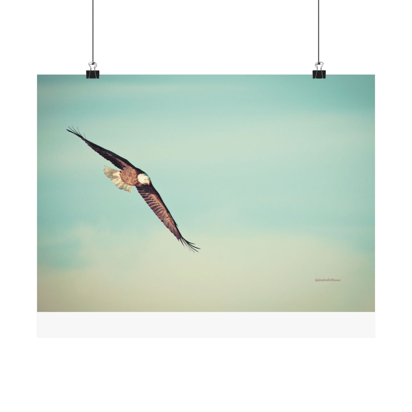 Bird, Matte Horizontal Poster