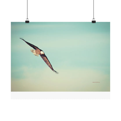 Bird, Matte Horizontal Poster