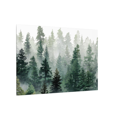 Forest Trees, Matte Canvas, Stretched, 0.75"