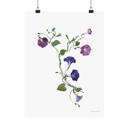 Floral, Matte Vertical Poster