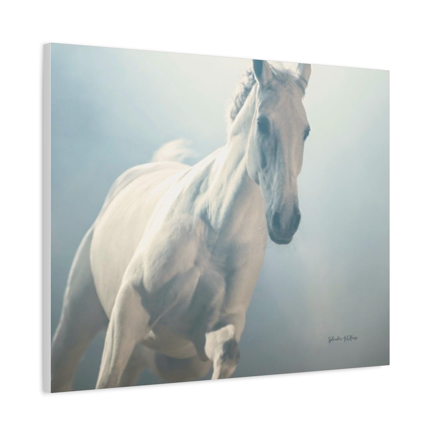 Horse, Matte Canvas, Stretched, 1.25"