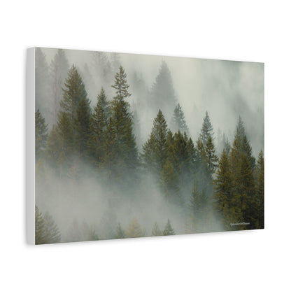 Forest, Matte Canvas, Stretched, 1.25"