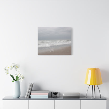 Ocean, Matte Canvas, Stretched, 1.25"