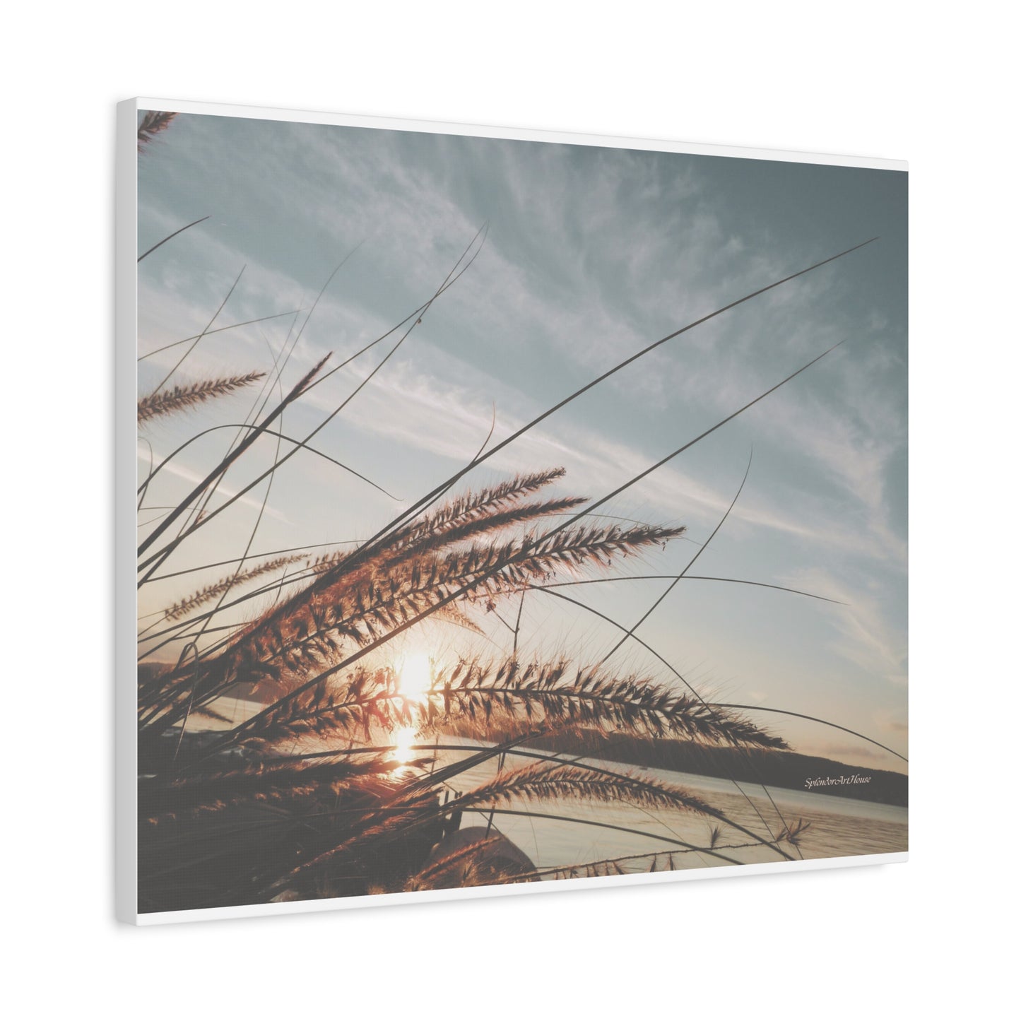 Grass, Matte Canvas, Stretched, 1.25"