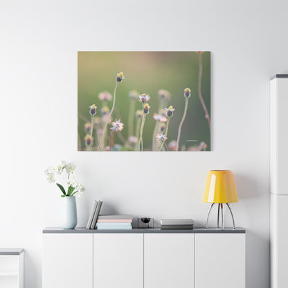 Floral, Matte Canvas, Stretched, 1.25"