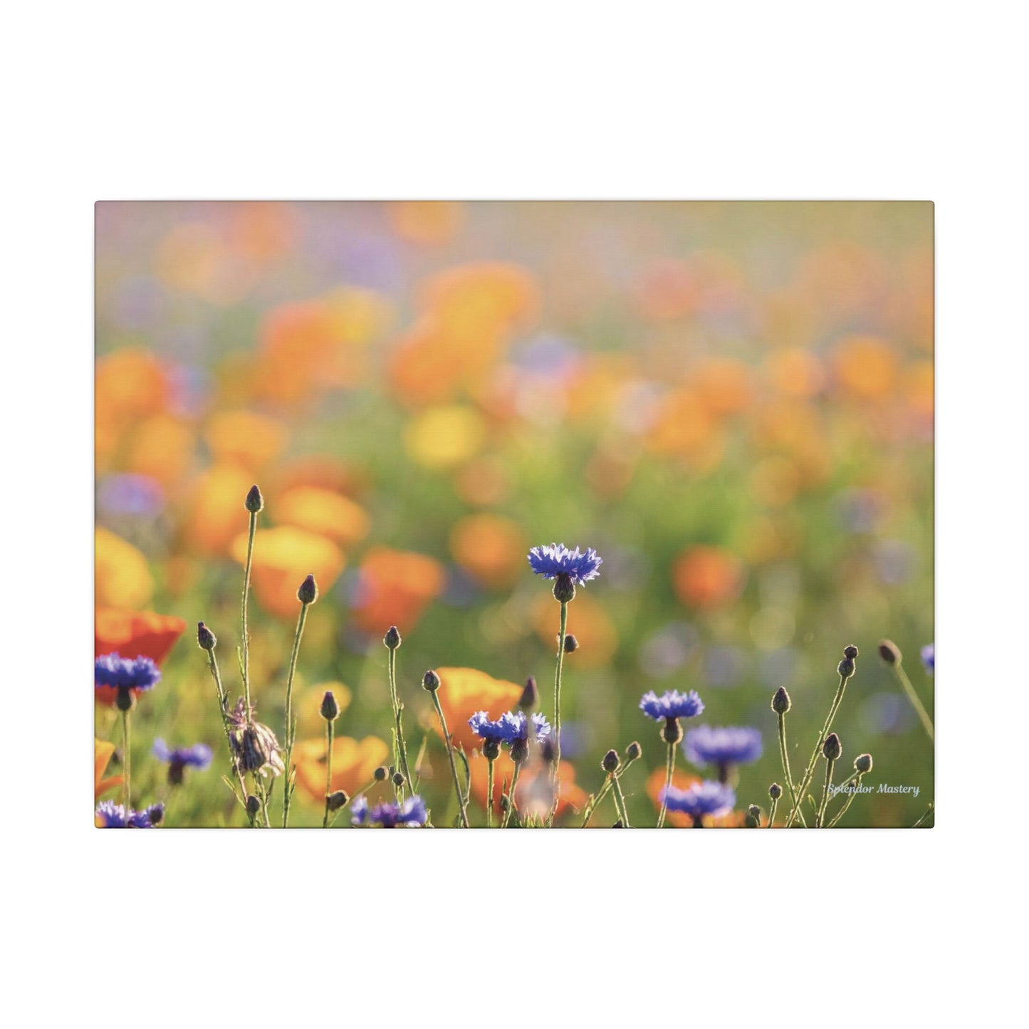 Floral, Matte Canvas, Stretched, 0.75"