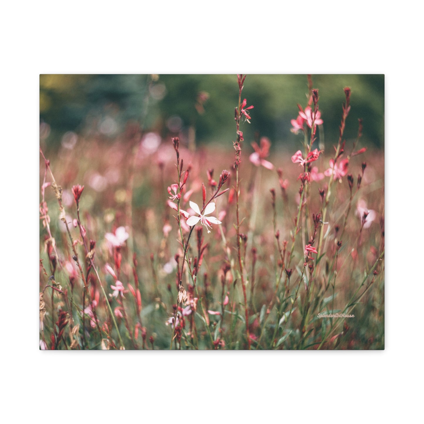 Floral, Matte Canvas, Stretched, 1.25"