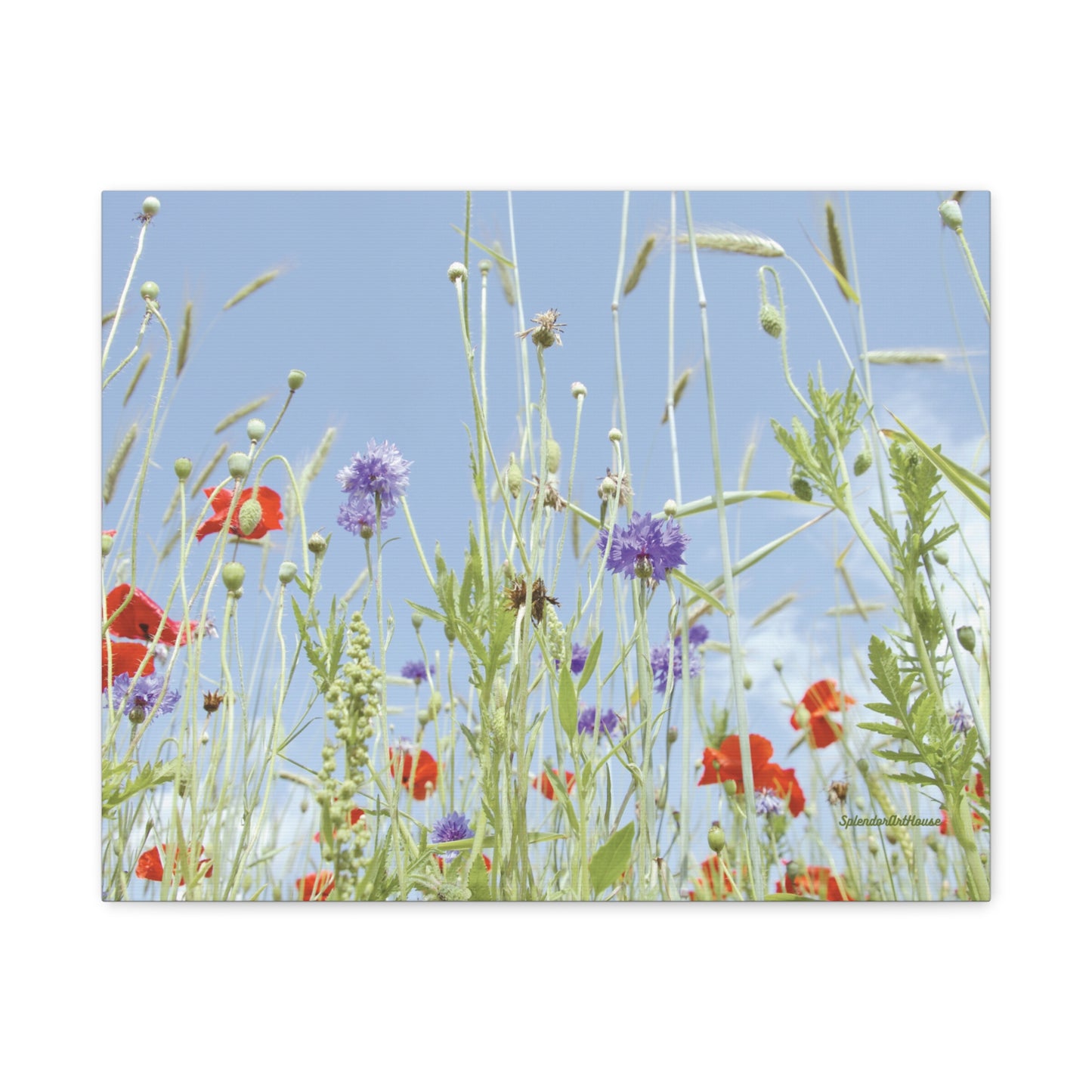 Floral, Matte Canvas, Stretched, 1.25"