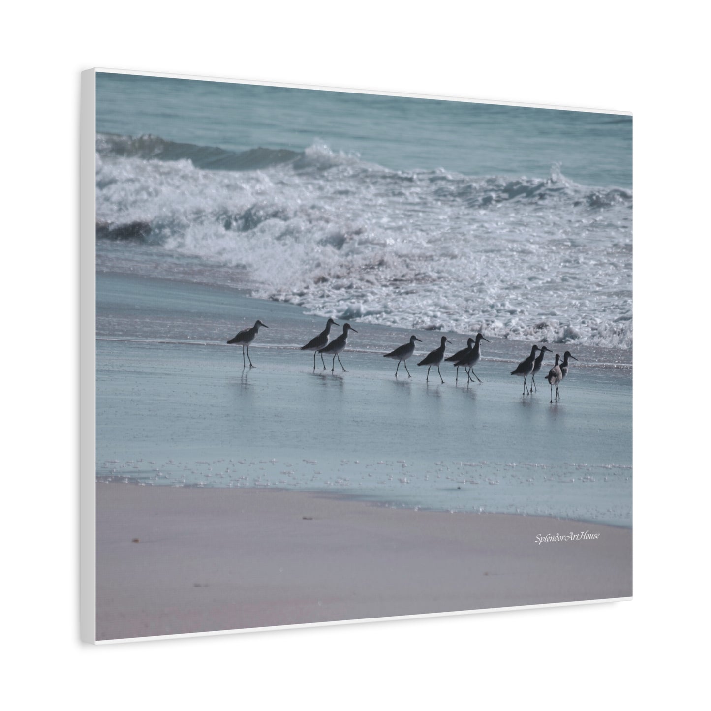 Birds, Matte Canvas, Stretched, 1.25"