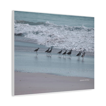 Birds, Matte Canvas, Stretched, 1.25"