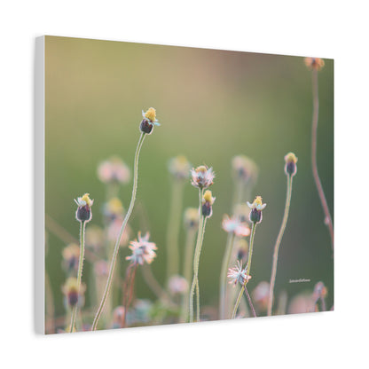 Floral, Matte Canvas, Stretched, 1.25"