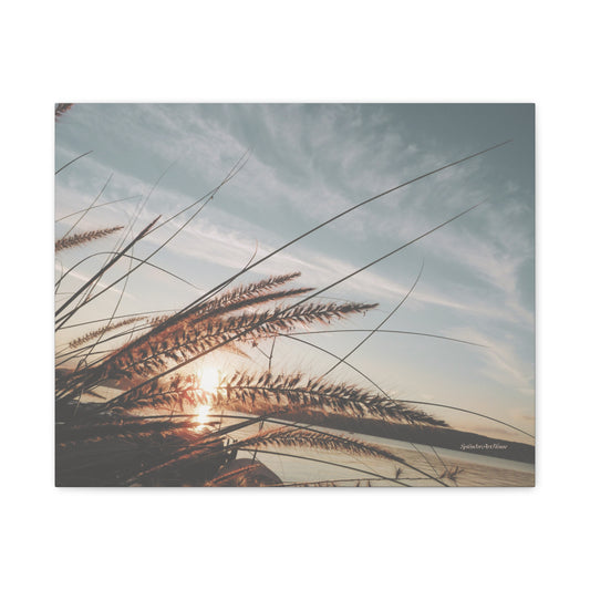 Grass, Matte Canvas, Stretched, 1.25"