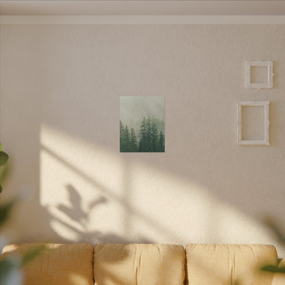 Forest Trees, Matte Canvas, Stretched, 0.75"