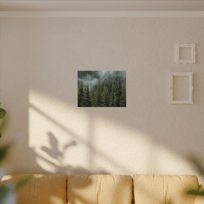 Trees, Matte Canvas, Stretched, 0.75"