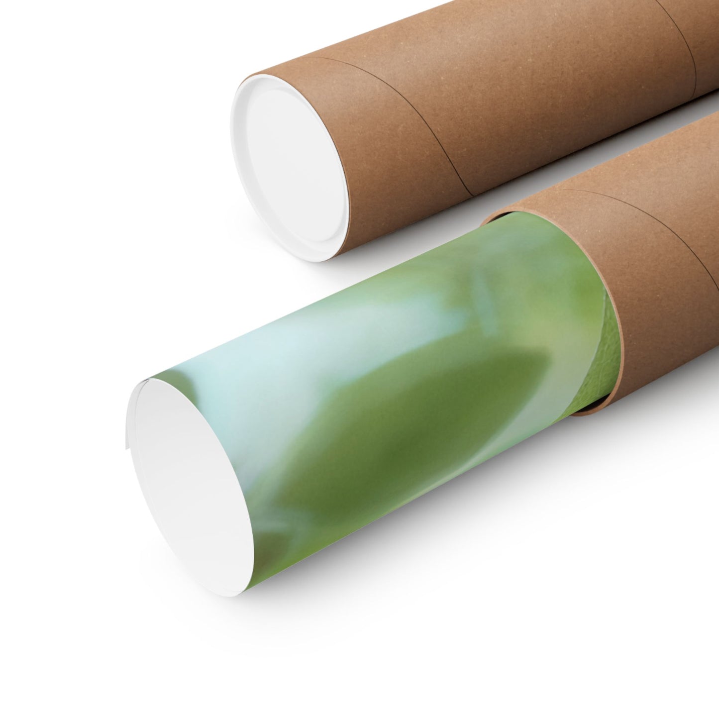 Inspirational, Matte Horizontal Poster