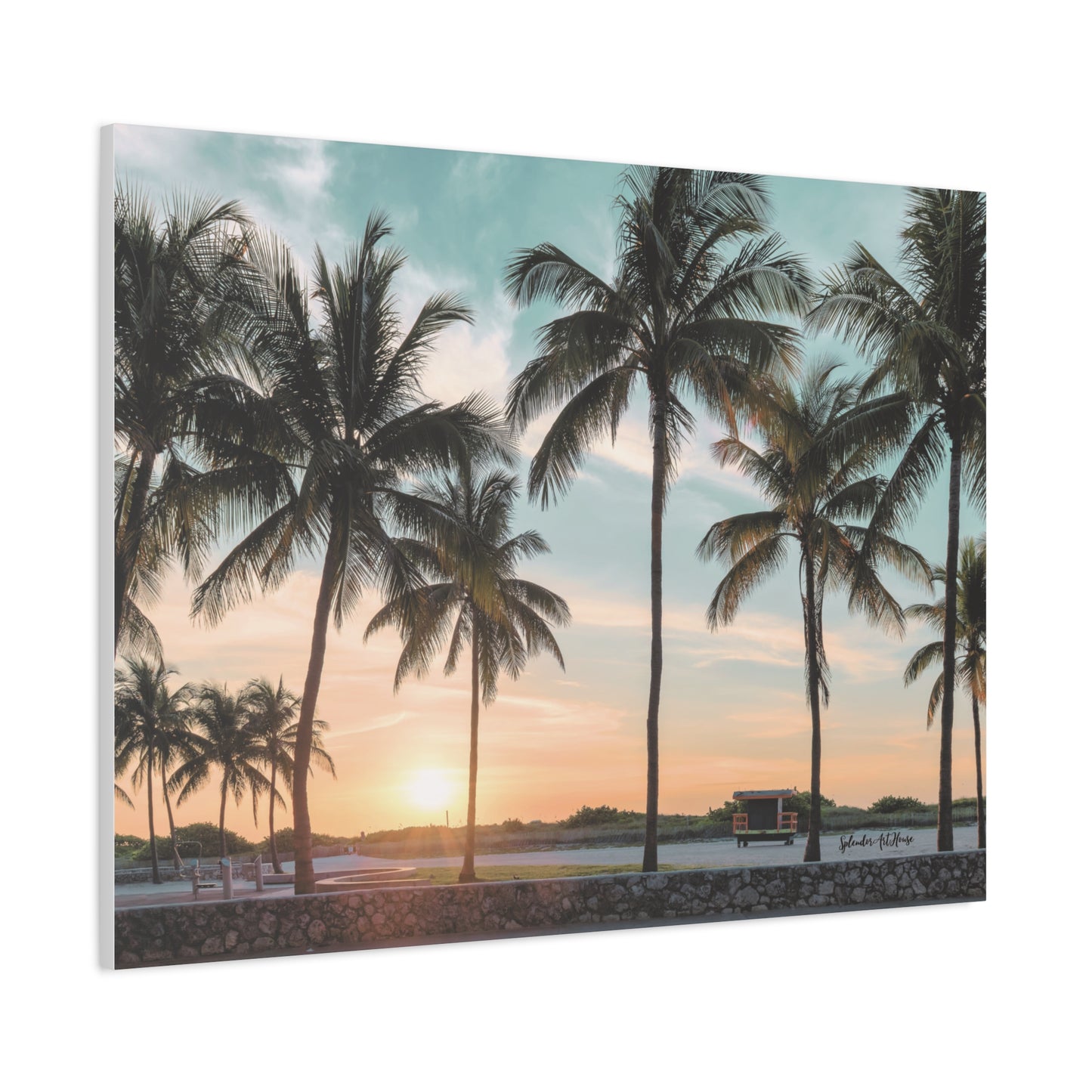Palm Trees, Matte Canvas, Stretched, 1.25"