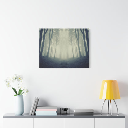 Forest, Matte Canvas, Stretched, 1.25"