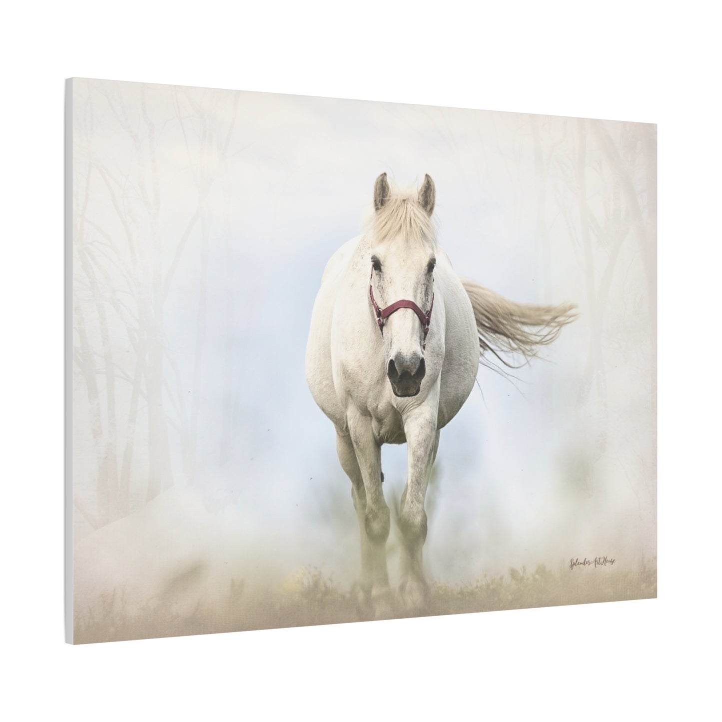 Horse, Matte Canvas, Stretched, 1.25"