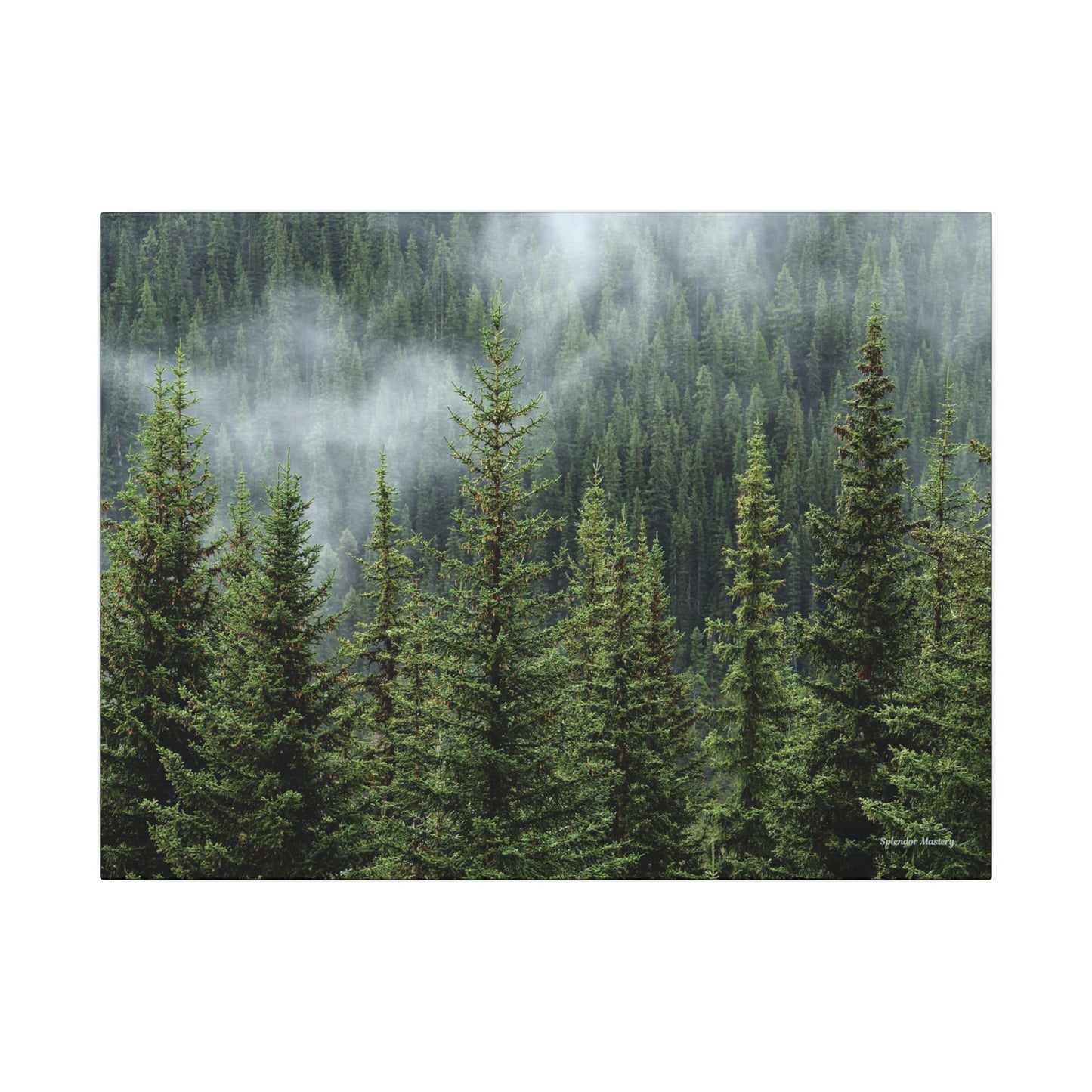 Trees, Matte Canvas, Stretched, 0.75"