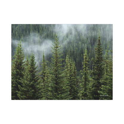 Trees, Matte Canvas, Stretched, 0.75"