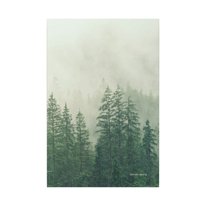 Forest Trees, Matte Canvas, Stretched, 0.75"