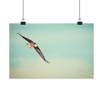 Bird, Matte Horizontal Poster