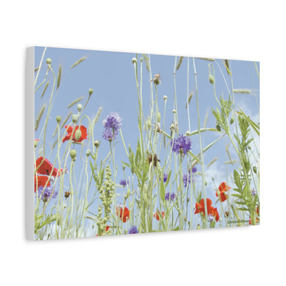 Floral, Matte Canvas, Stretched, 1.25"