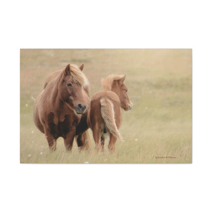 Wild Horses, Matte Canvas, Stretched, 1.25"