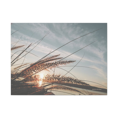 Grass, Matte Canvas, Stretched, 1.25"