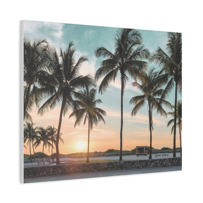 Palm Trees, Matte Canvas, Stretched, 1.25"