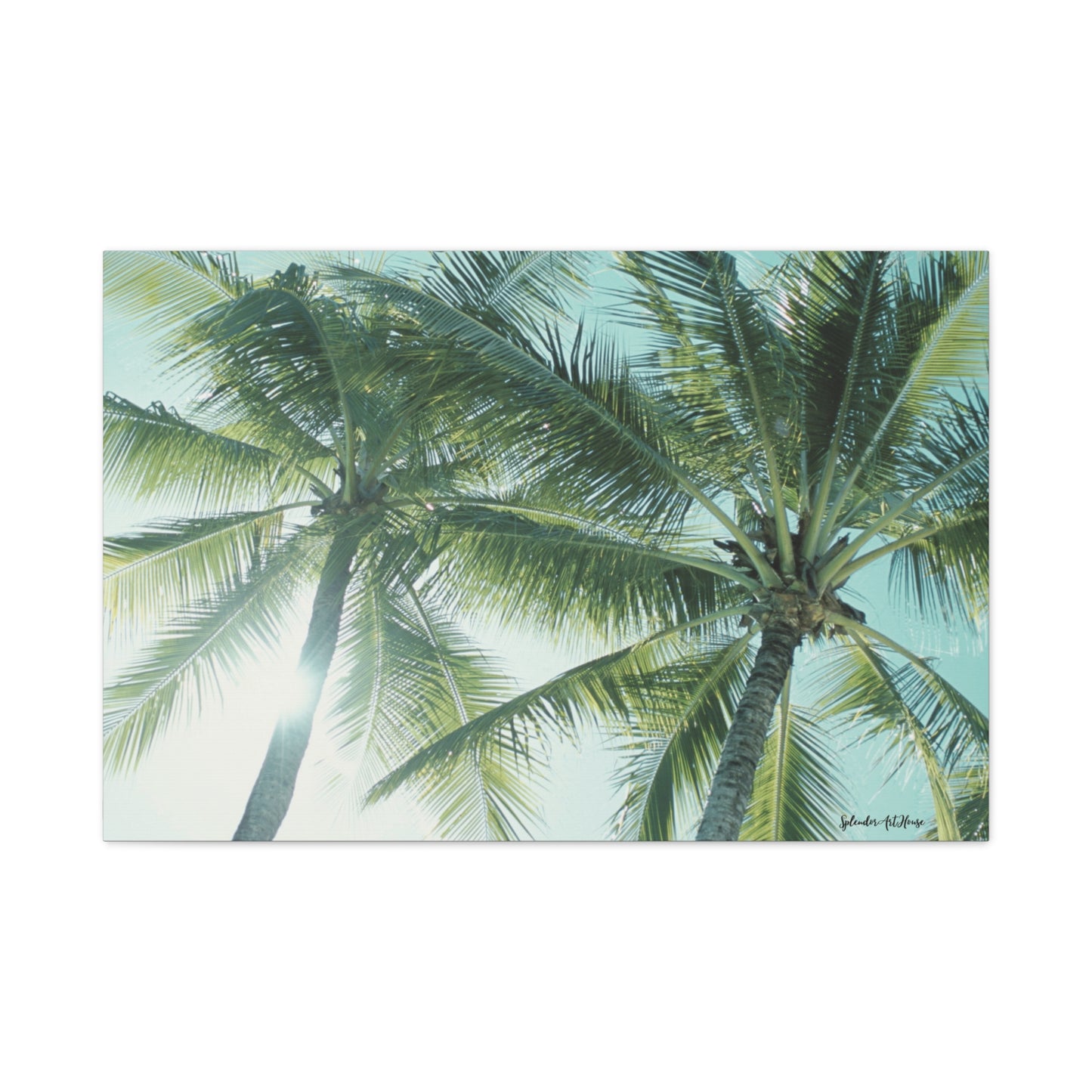 Palm Trees, Matte Canvas, Stretched, 1.25"