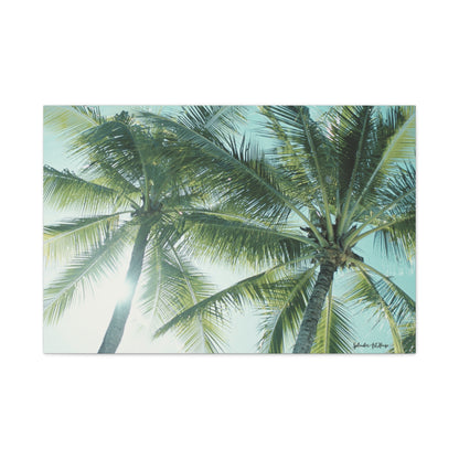 Palm Trees, Matte Canvas, Stretched, 1.25"