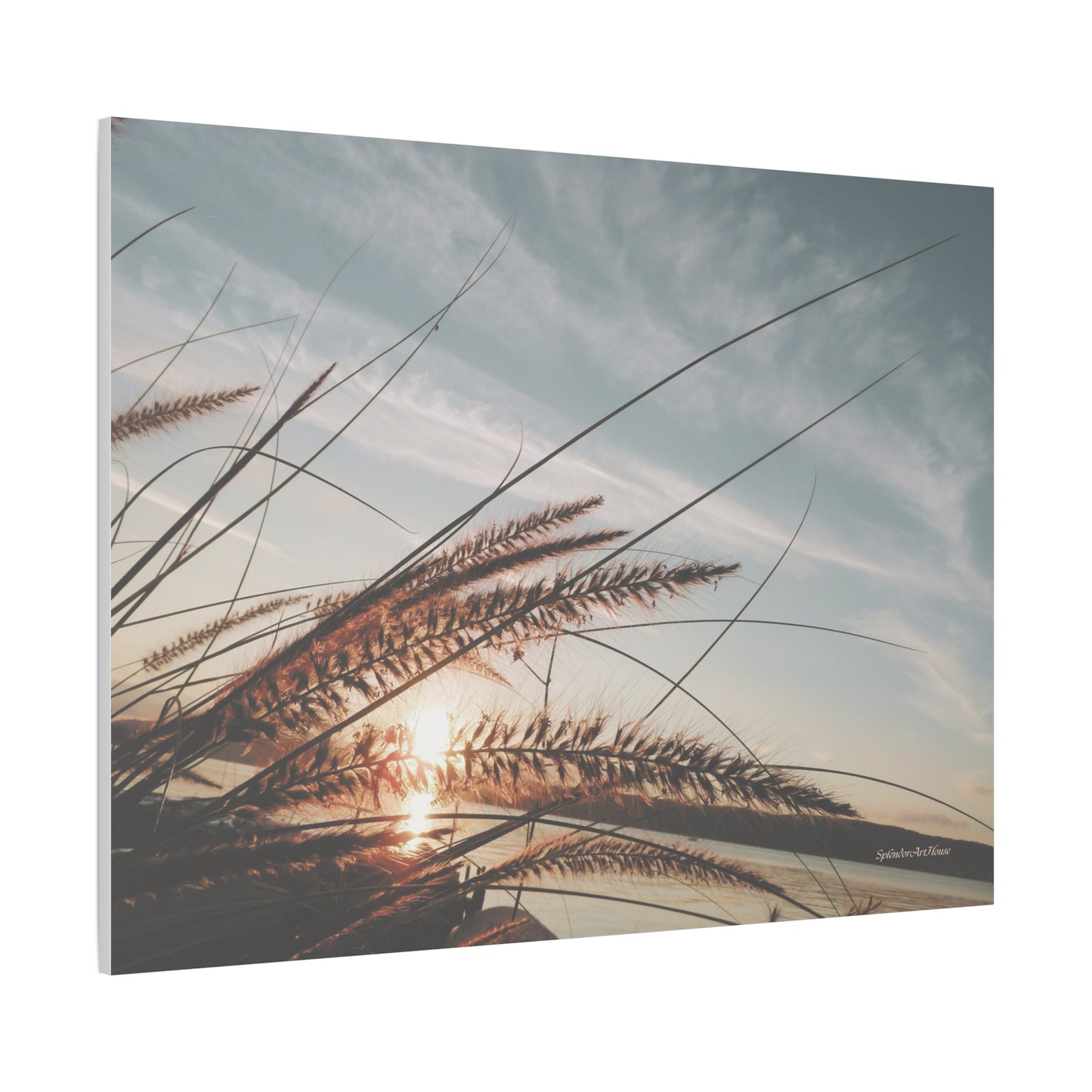 Grass, Matte Canvas, Stretched, 1.25"