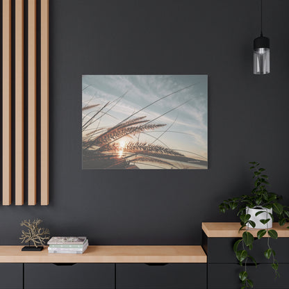 Grass, Matte Canvas, Stretched, 1.25"