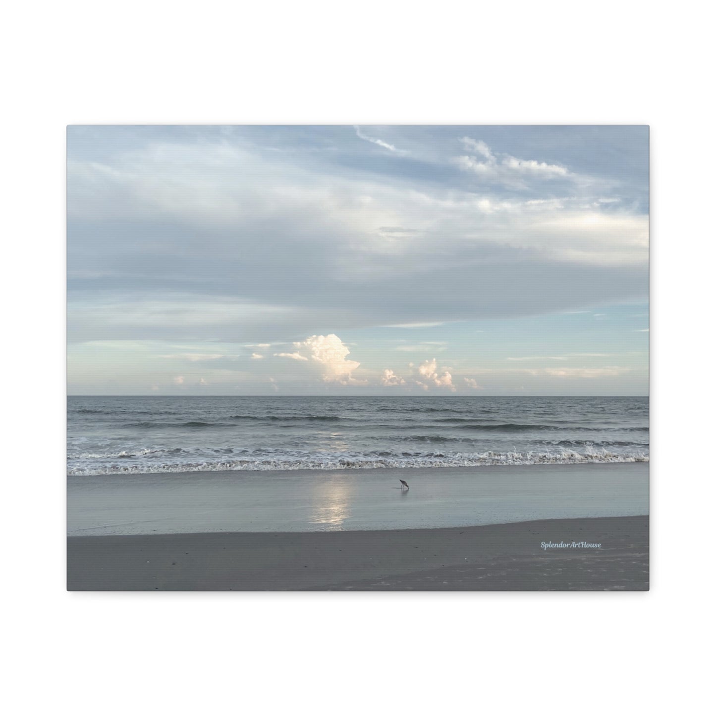 Ocean, Matte Canvas, Stretched, 1.25"