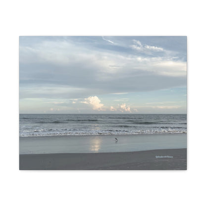 Ocean, Matte Canvas, Stretched, 1.25"