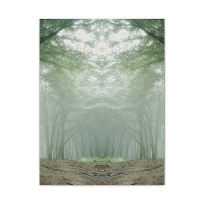 Forest, Matte Canvas, Stretched, 1.25"