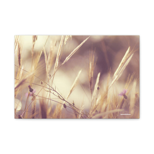 Grass, Matte Canvas, Stretched, 1.25"