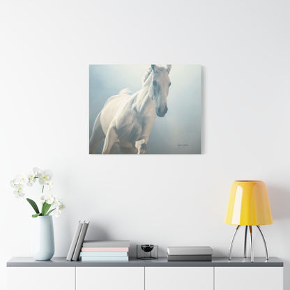 Horse, Matte Canvas, Stretched, 1.25"