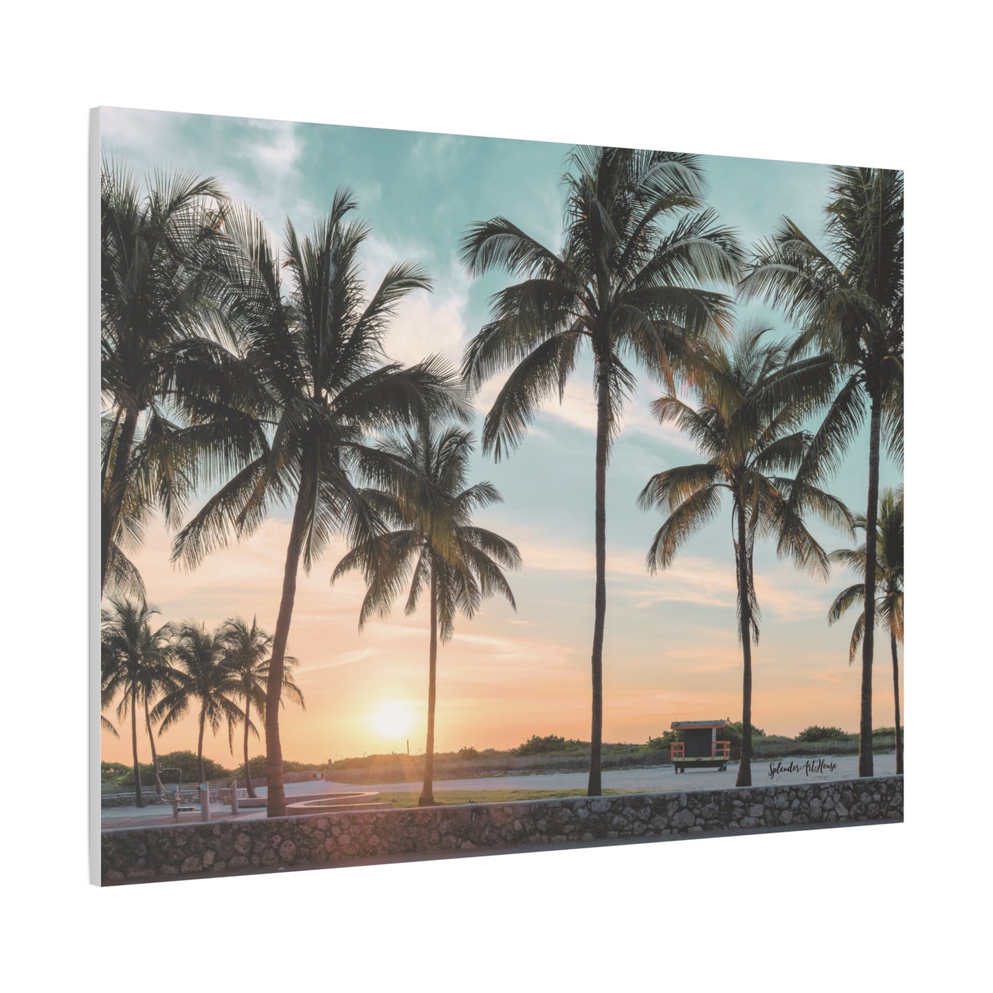 Palm Trees, Matte Canvas, Stretched, 1.25"