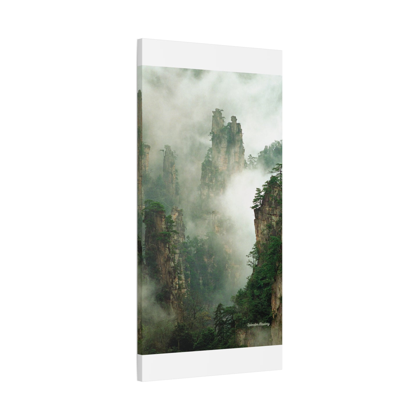 Forest, Matte Canvas, Stretched, 1.25"