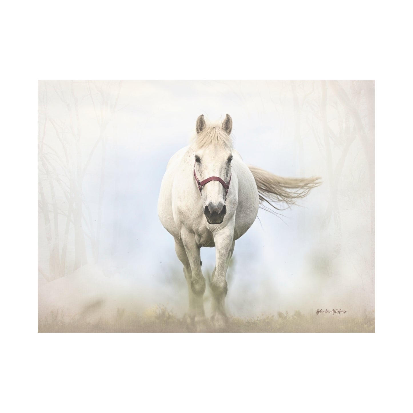 Horse, Matte Canvas, Stretched, 1.25"